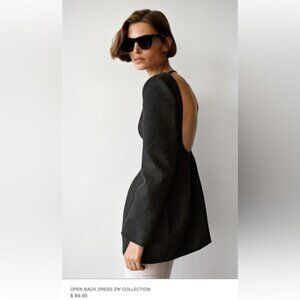 ZARA Round neck long sleeve mini dress. Balloon skirt. Open back.